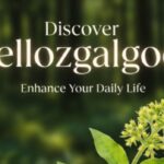 mellozgalgoen